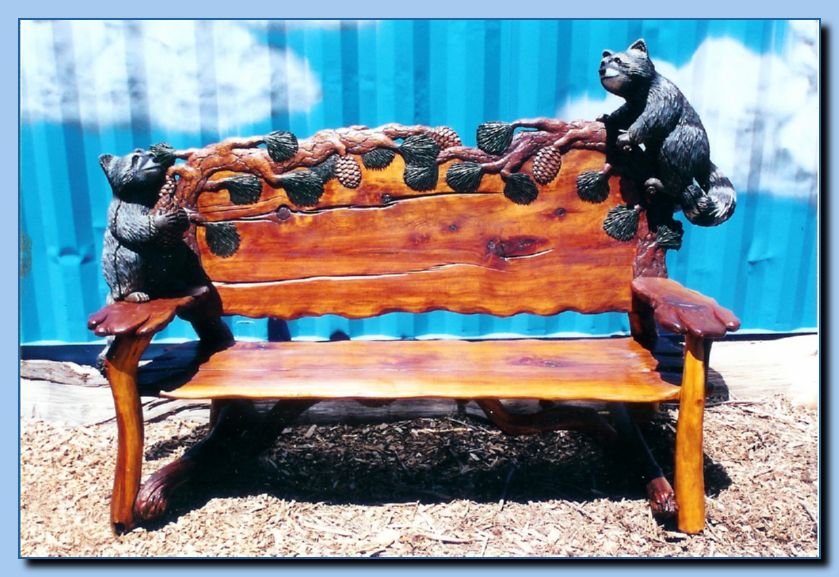 2-18 raccoon bench-archive